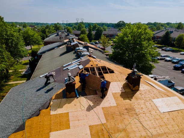 Best Flat Roof Repair Services  in Carmi, IL