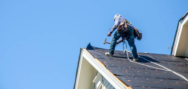 Roof Gutter Cleaning in Carmi, IL